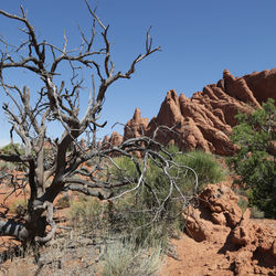 Rock formation on land against sky