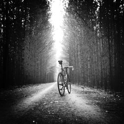 Bicycle parked on road
