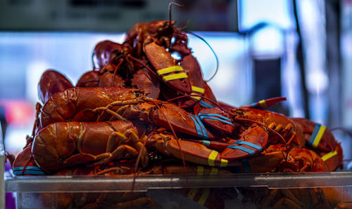 Close-up of lobster in basket