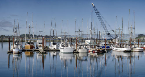 Sailboats moored at harbor against sky