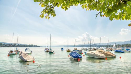 Boats on sea against sky