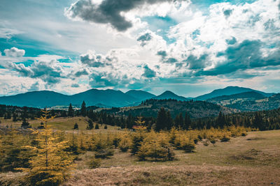 Scenic view of field against sky