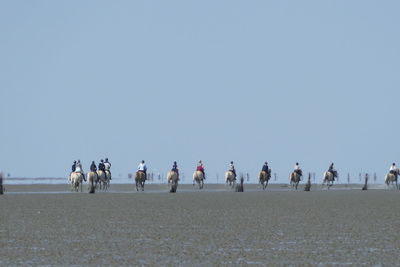 Riders on their way to neuwerk in watt in cuxhaven 