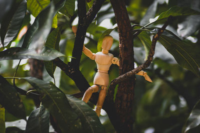 A wooden figurine climbing a branch of a mango tree 