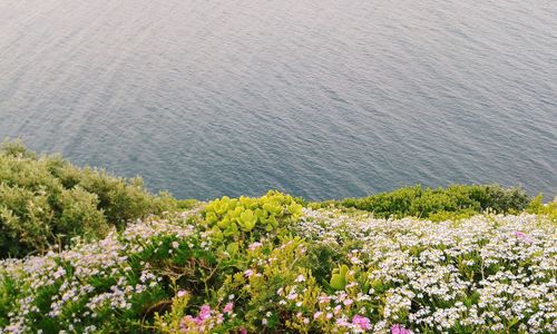 High angle view of sea