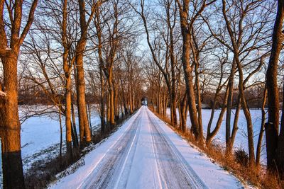 Snow covered road amidst bare trees at sunset