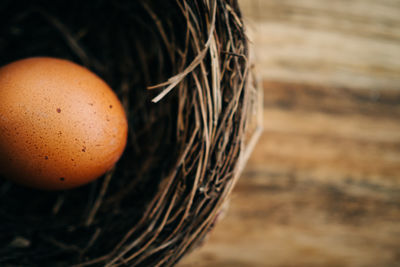 High angle view of egg in nest on wooden table