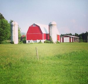 Built structure on grassy field