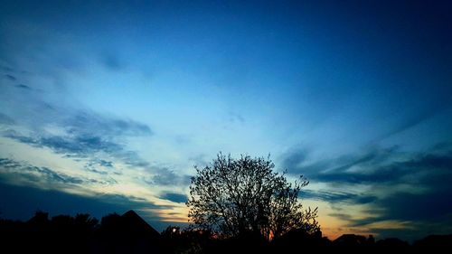 Low angle view of silhouette trees against sky