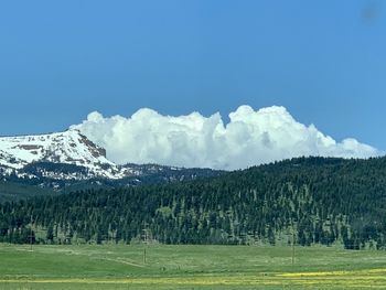 Scenic view of landscape against sky