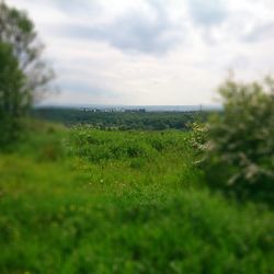 Scenic view of grassy field against cloudy sky