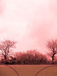 Trees on field against sky during sunset