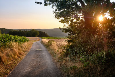 Road amidst trees against sky during sunset