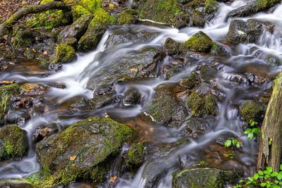 Stream and running water through forest with long exposure to create blurred water
