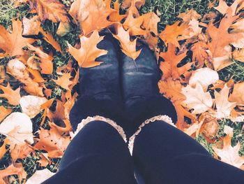 Low section of person standing on autumn leaves