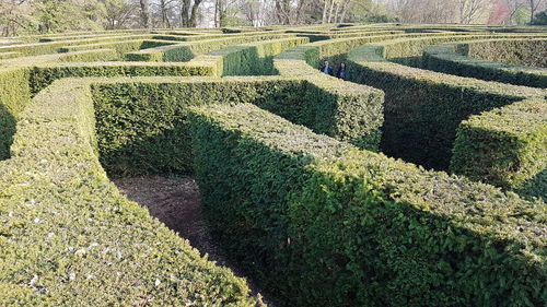 High angle view of shadow on grass