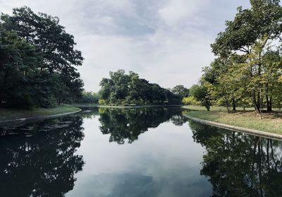 Swamp and shady trees in queen sirikit park, bangkok, thailand