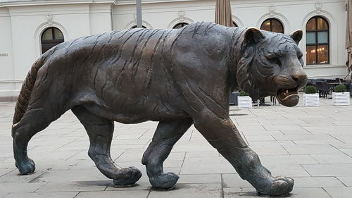 Close-up of statue