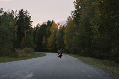 Rear view of man riding motorcycle on road amidst trees during sunset