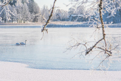 winter
