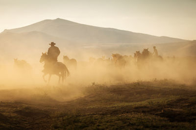 View of people riding horse on field against sky