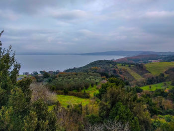 Scenic view of landscape and sea against sky