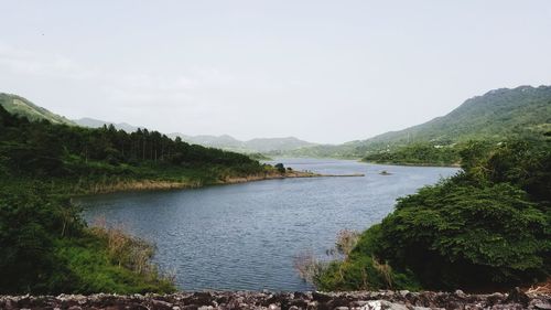 Scenic view of river in forest against sky