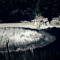 Close-up of wooden plank