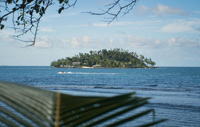 Photographed by palm fronds on a small island in the caribbean sea - wanderlust calls