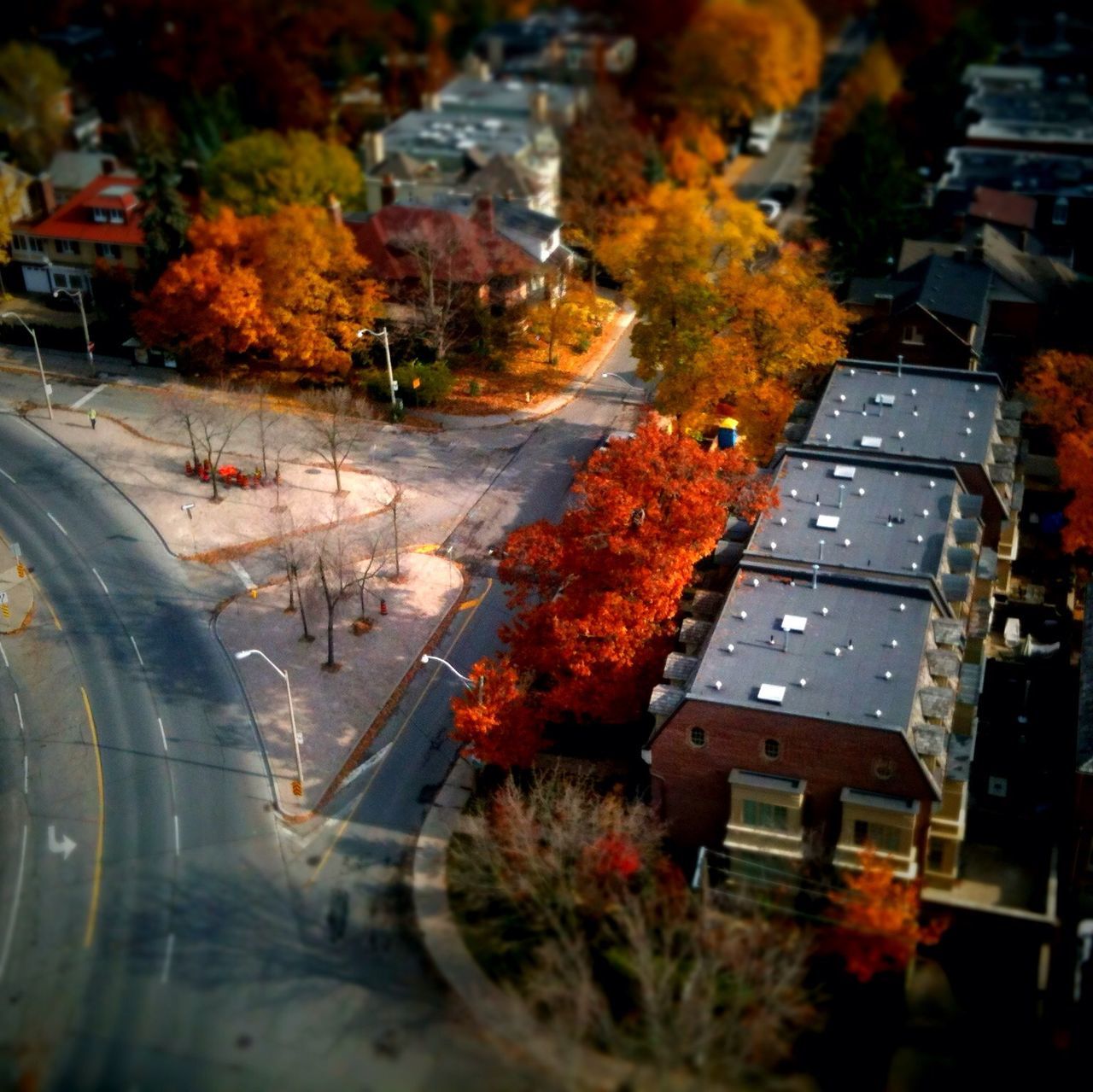 autumn, change, season, tree, street, orange color, road, building exterior, built structure, high angle view, transportation, leaf, architecture, water, outdoors, car, wet, reflection, no people, day