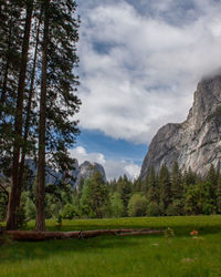 Scenic view of trees and mountains against sky