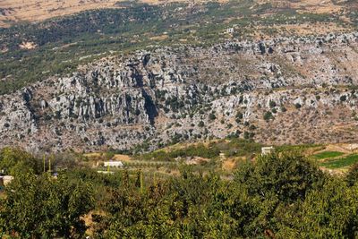 High angle view of trees on landscape