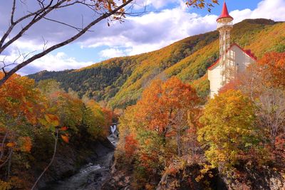Plants by trees against sky during autumn
