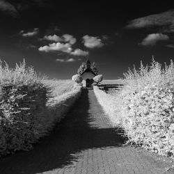 Pathway amidst plants reaching towards church against sky