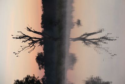 Reflection of trees in calm lake