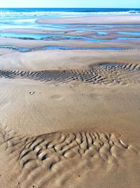 Flock of birds on sand at beach