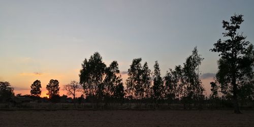 Silhouette trees on field against sky during sunset