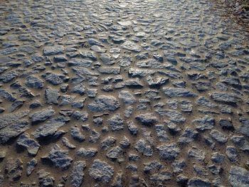 Full frame shot of wet sand