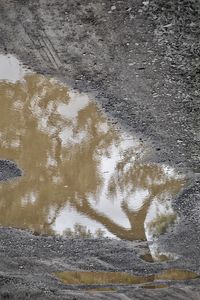 Reflection of puddle in water
