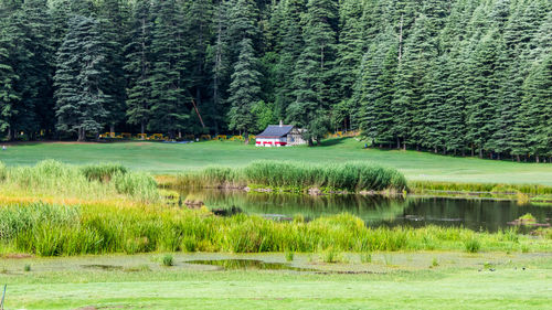 View of famous khajjiar lake is situated in chamba district of himachal pradesh, india