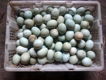 High angle view of eggs in crate at market