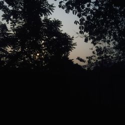 Low angle view of silhouette trees against sky