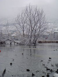 Scenic view of lake against sky during winter