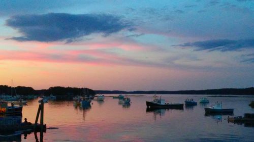 Boats moored at harbor