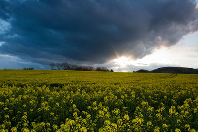 Scenic view of field against cloudy sky