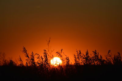 Scenic view of sunset