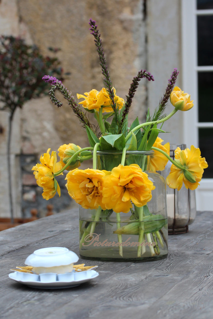 flower, yellow, freshness, fragility, petal, vase, flower head, potted plant, growth, flower pot, focus on foreground, plant, close-up, table, beauty in nature, nature, indoors, stem, leaf, flower arrangement