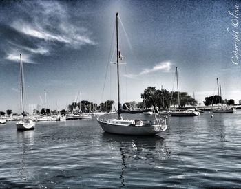 Sailboats moored on harbor against sky