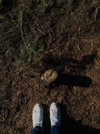 Low section of person standing on ground