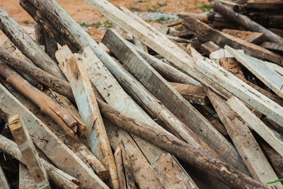 Full frame shot of logs in forest